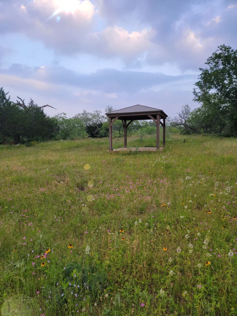 Campo de Estrellas